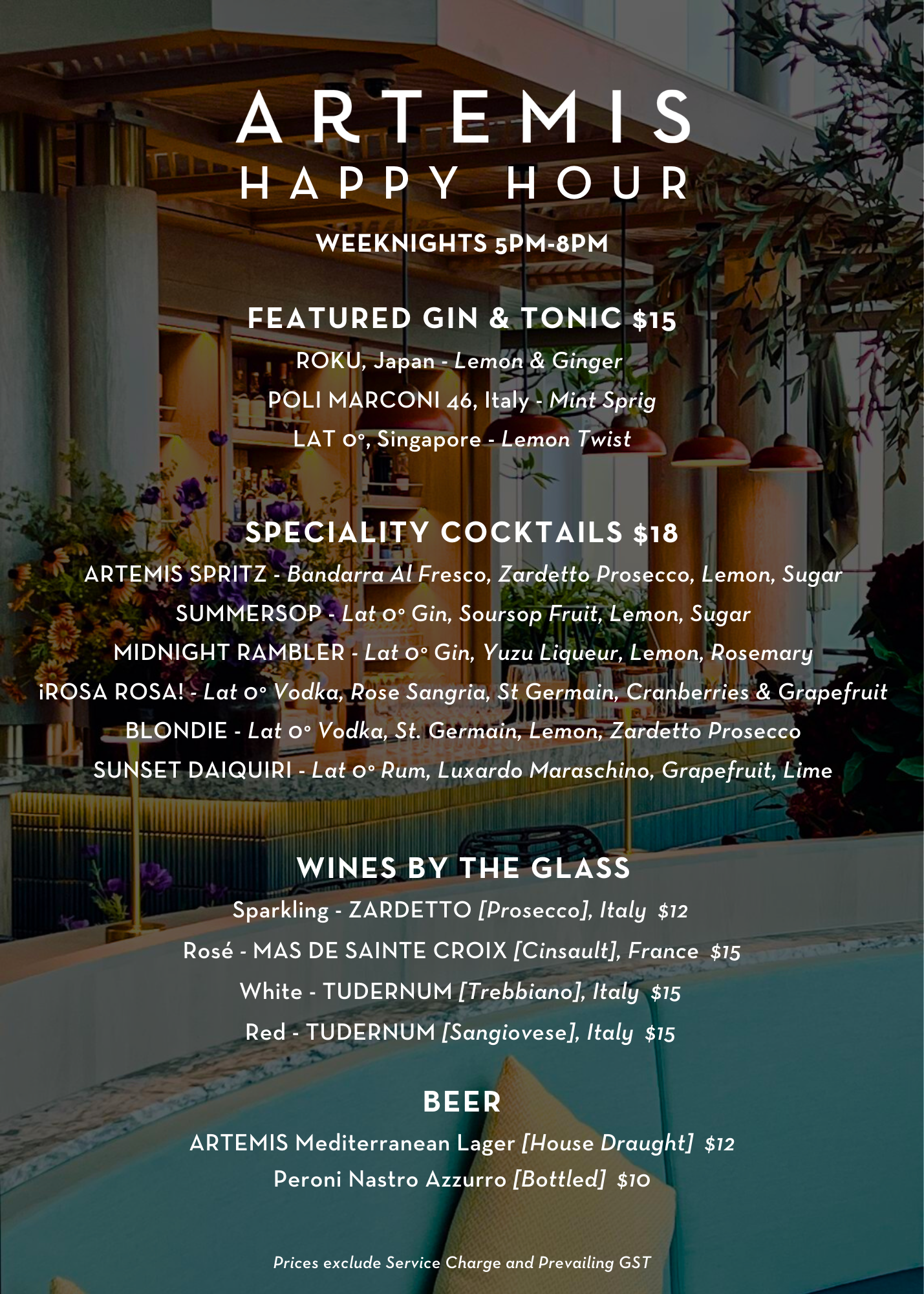 View menu